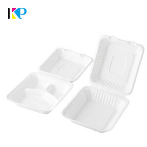 Eco Friendly Disposable Boxes