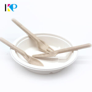 Disposable Cutlery Sets