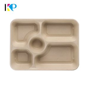 5 Compartment Disposable Plates