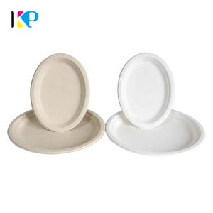 Mini Paper Plates