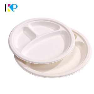 3 Compartment Disposable Plates
