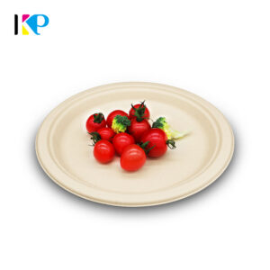 Biodegradable Paper Plates