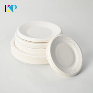 Compartment Paper Plates