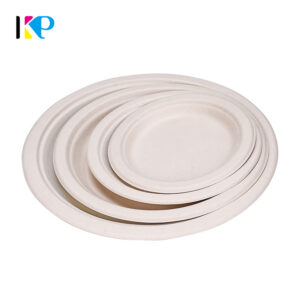 Compostable Disposable Plates