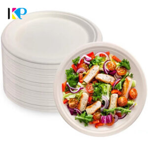 Large Paper Plate