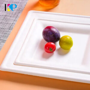 Rectangular Plates