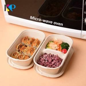 ซูชิ Takeaway Boxes