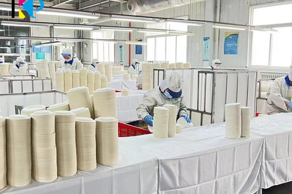 6 inch disposable plates 2