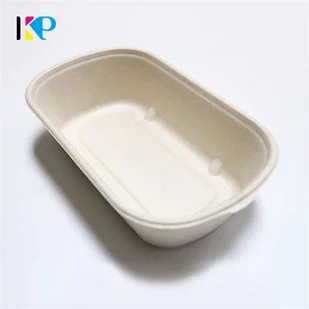 Biodegradable Container 4