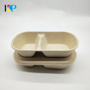 Biodegradable Container 5