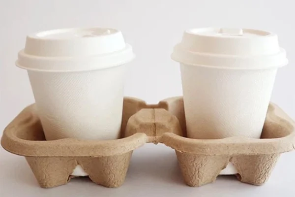 Biodegradable Cups 6