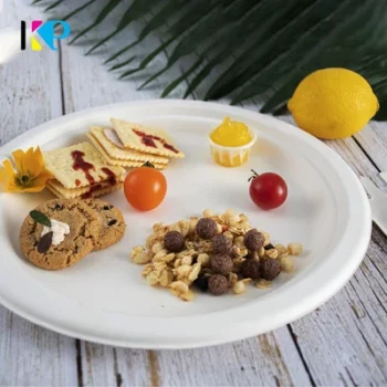 Biodegradable Plate 1