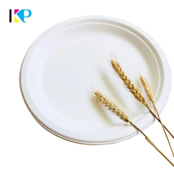 Biodegradable Plate 3