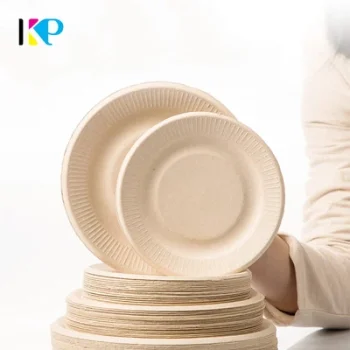 Biodegradable Plate 4