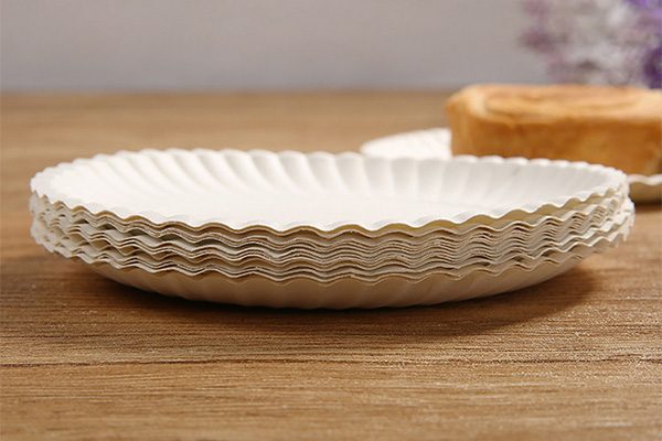 paper plates 2