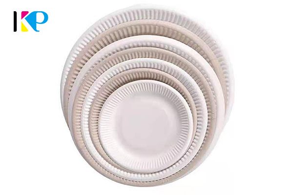 small disposable plates 6